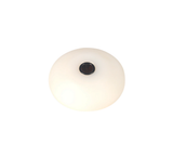 MP095 12.7mm Mini Prism Series